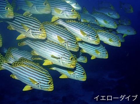 7138F2AA-7EEC-4EDF-80C3-3E353B2B4FAE