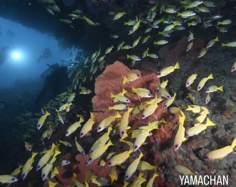 ED6881E6-1078-47E2-935A-D9426804821E