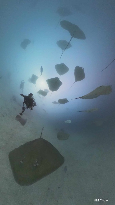 394446215_344140958007465_9112048041185794104_n