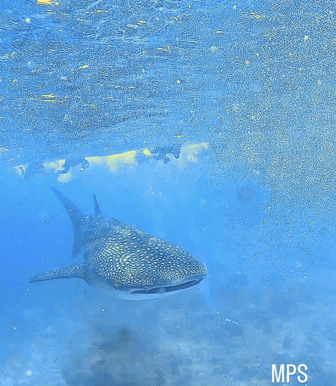 25EF5925-2508-4023-B1AB-43BEE7674B37