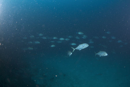 名称未設定-1(ドラッグされました) 2