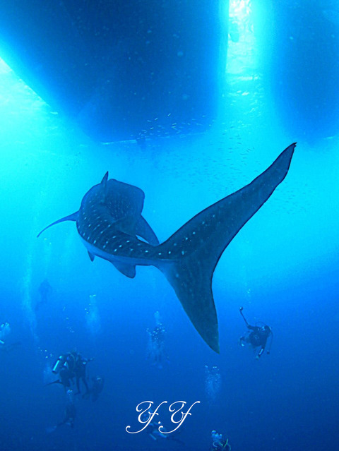 AD4D03DC-F915-4B4E-ADCC-E9BEE7B4C56A