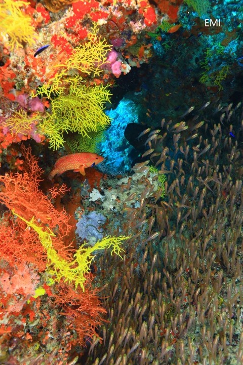 394369207_6664670250298634_851088323000556689_n