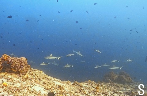 2C302AB9-CC52-456B-8D72-602ED211E989