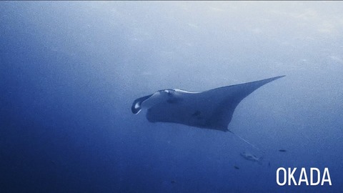 4B15DEAD-2739-4370-B677-B399934C8B3D