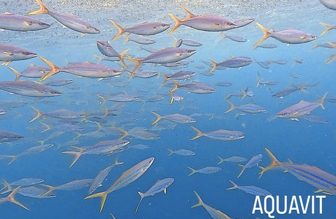 1C33F091-CE78-4A37-9078-47A87970C572