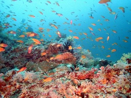 43742085_755652771444345_282073115331133440_n