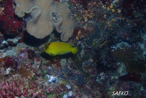P9200407
