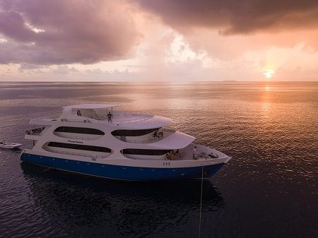 41650066_2147350031965511_8973181657762758656_n