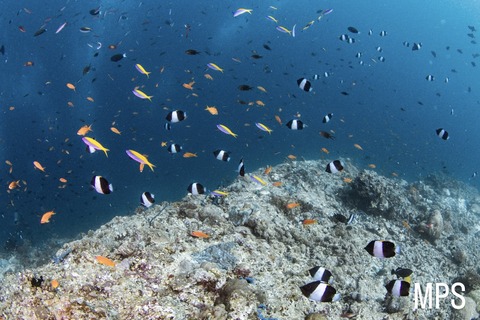 56FD8CFE-1A19-42E5-B1BB-4A63DC8FF4CA