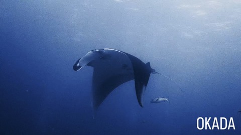 479460E5-EEEA-430E-B917-9B5EBDD3E7DF