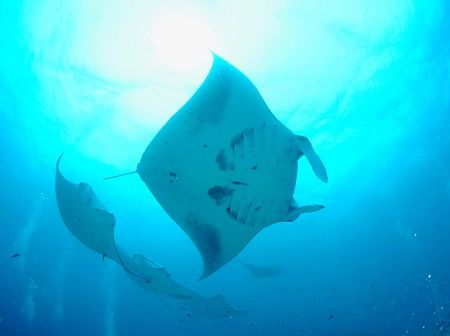 37551375_1814630655293208_2260356457985736704_n