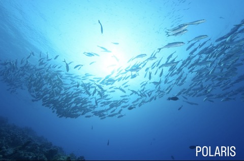 AB7269FF-3459-45E0-AF0C-BA8C01798A2C