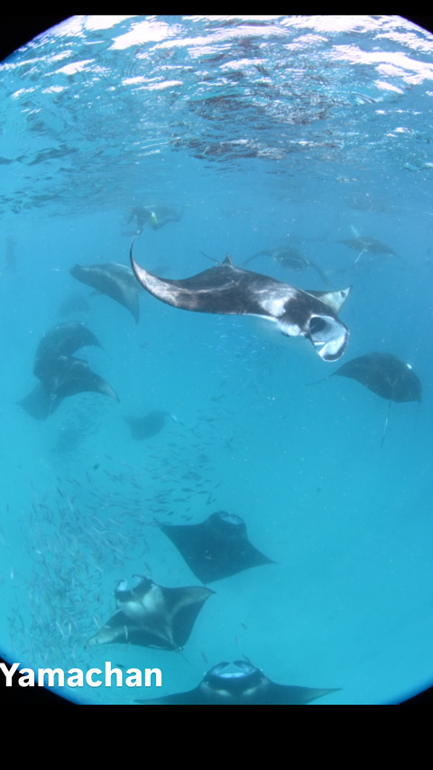 9F5D3301-92E7-49FD-8870-4AE2B2BA8B40