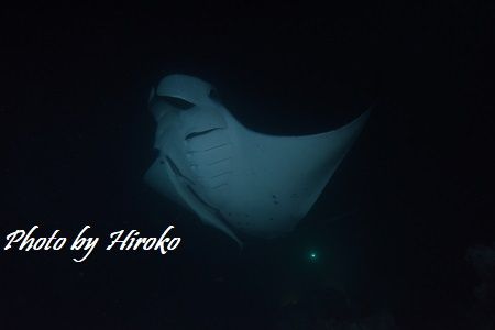 13 Hiroko