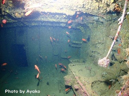 48059165_2347772201962206_7106533968354213888_n