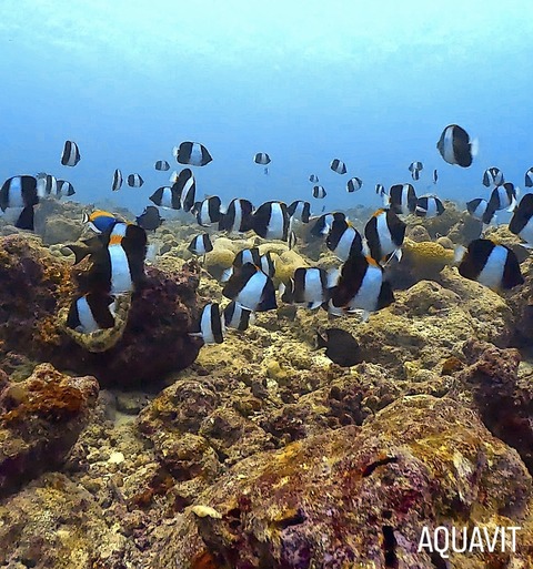 D20B47BE-D47E-45FD-A861-8ADE1C08CE49