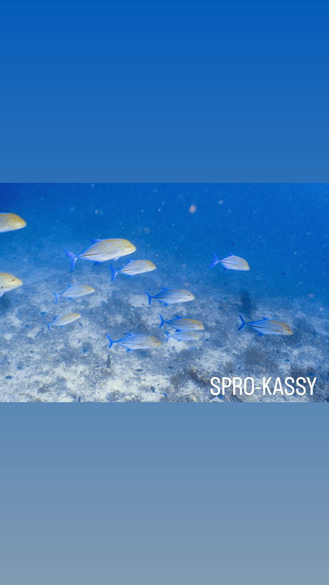 51AA52EF-9BE8-4F07-B0EF-8737B881F503