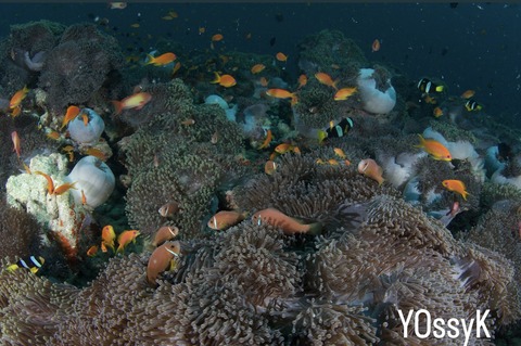 538FF208-1031-4F86-93BC-67D96E946E49