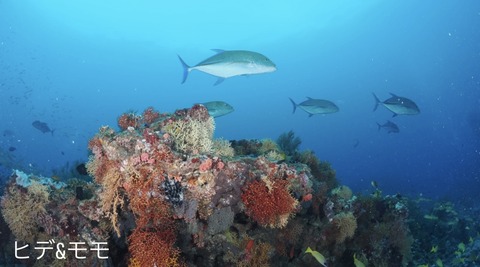 E2873290-F011-4B99-A4A0-98F96A7FCE76