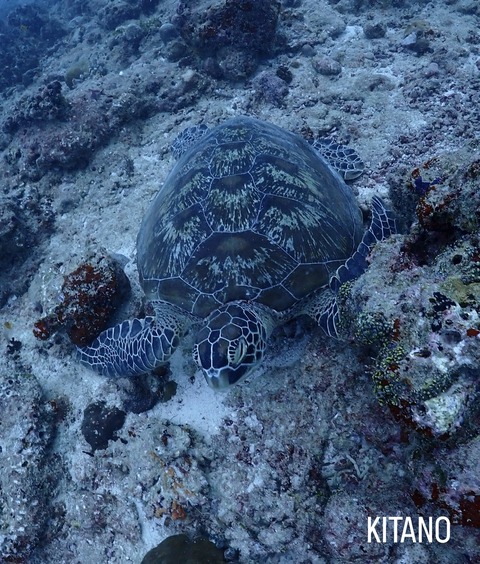 53CF1AF1-A1CB-47F9-955A-38B7D94E1375