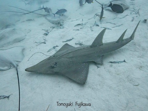 375988005_6583277115099878_8094143542344252874_n