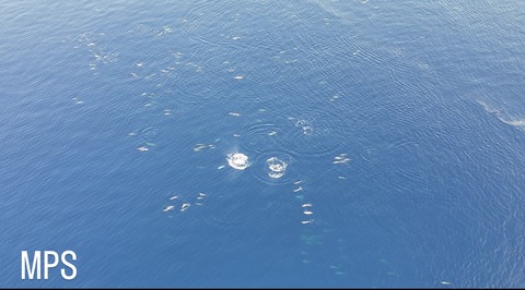 485DA809-B25B-41E9-B2C1-26A9FF5FF890