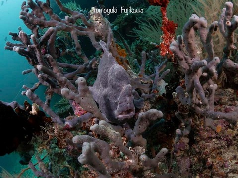 376734498_6583274541766802_6231994665971152686_n