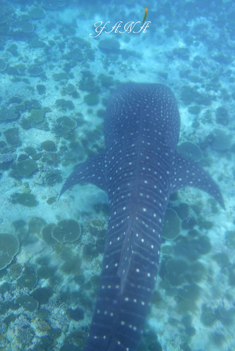 370120653_346968977879885_4211101066395287322_n