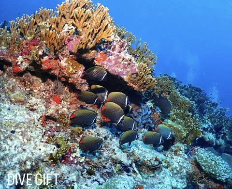 411E5A3F-46C4-4B02-858B-BC8FD28CFEC5