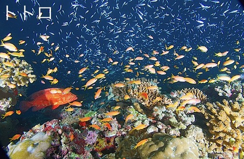 9524767C-39A6-49B7-8AC8-99647C84F6B2