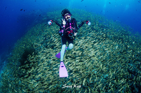 393076971_959293672466901_2661087441228122188_n