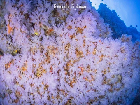 376735324_6583274635100126_5237611138087297790_n