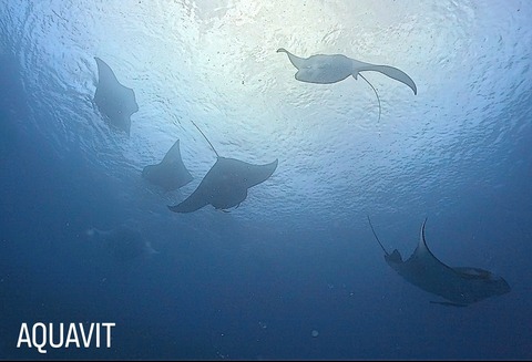 31804E46-AF5C-4352-A3D2-12C5598967E0