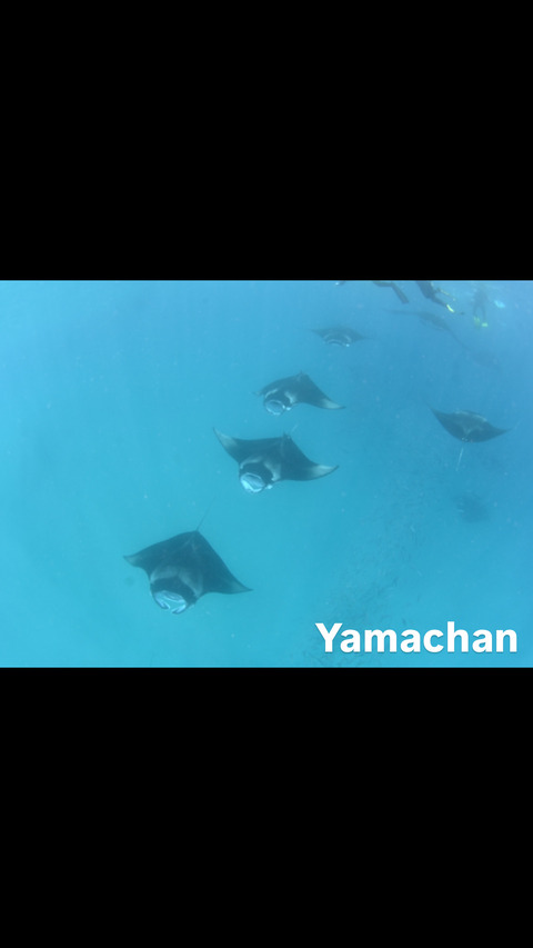 D9CC6338-CA3A-4347-A27E-701A697DE091