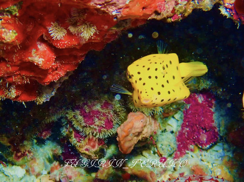 386540675_6685189871575268_829766208528738578_n