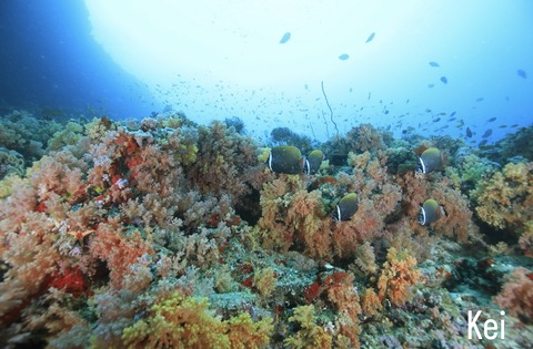 CFF29357-C312-4069-8705-55E1BFCCD73F