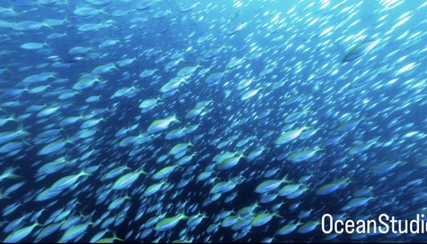 F0948A8D-B6F3-4EA8-9277-7AE5C42AAFB4