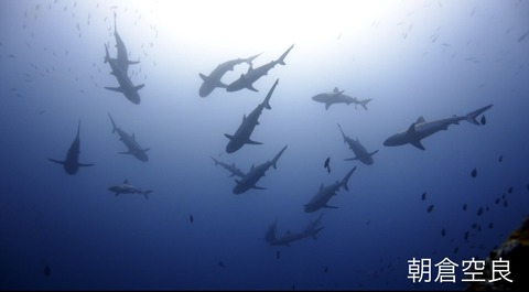 85B39BA6-654F-4463-9A0C-4E52E772C225