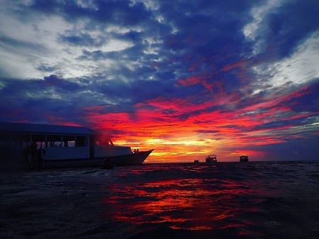 44944688_763167790697697_3787109235976830976_n