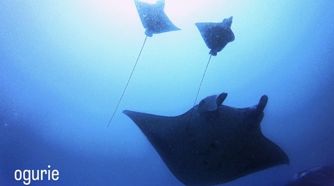 0130D883-F6F2-4CA2-A791-ABCF9094C193