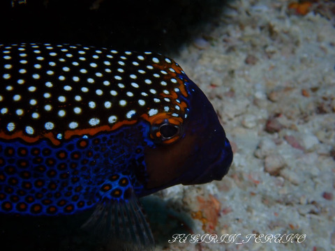 385000421_6685190728241849_2546643900582910220_n