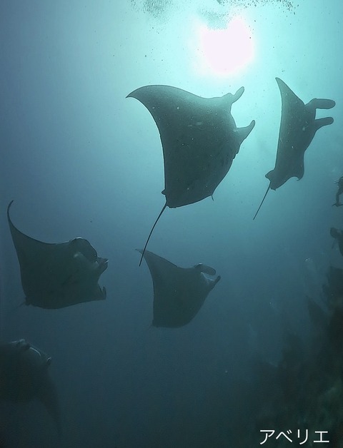 4B7643EE-AF96-4635-A43F-BF732B92EE94