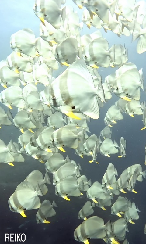 AB702926-D0C7-4670-A8A2-A608F384C31A