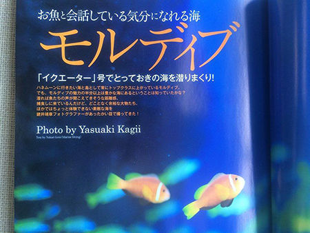 11403080_868557256571921_4467130660486105850_n