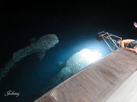 IMG_4292 - コピー