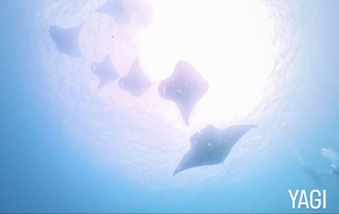 93DF9BC9-B3DC-4ABC-8EA8-8FC6E651075D