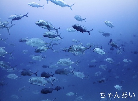 C23FDF92-9EF7-4EF1-87F7-2716C5D0E5FA