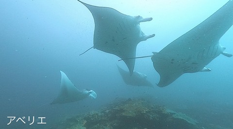 7252AD07-5866-4DE6-BACF-86A8185B4F31