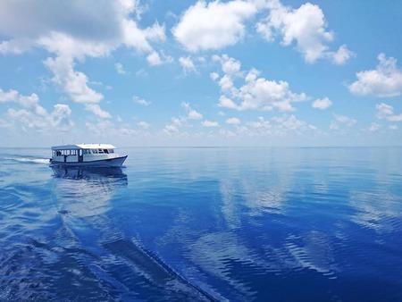 44298383_362073444335420_8673853571449487360_n